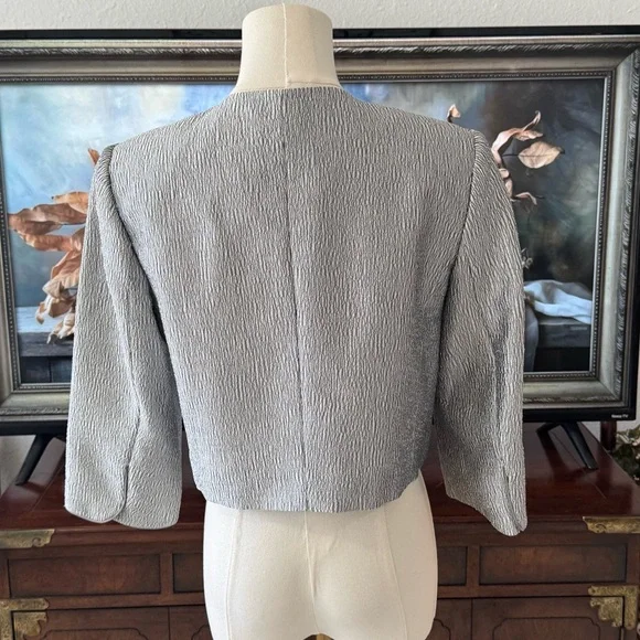 Adrianna Papell Occasions Cropped Blazer Jacket Silver Grey Sz 6 Excellent Cond - Picture 3 of 9